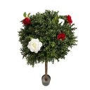 Buis boule fleuri - 120/150cm