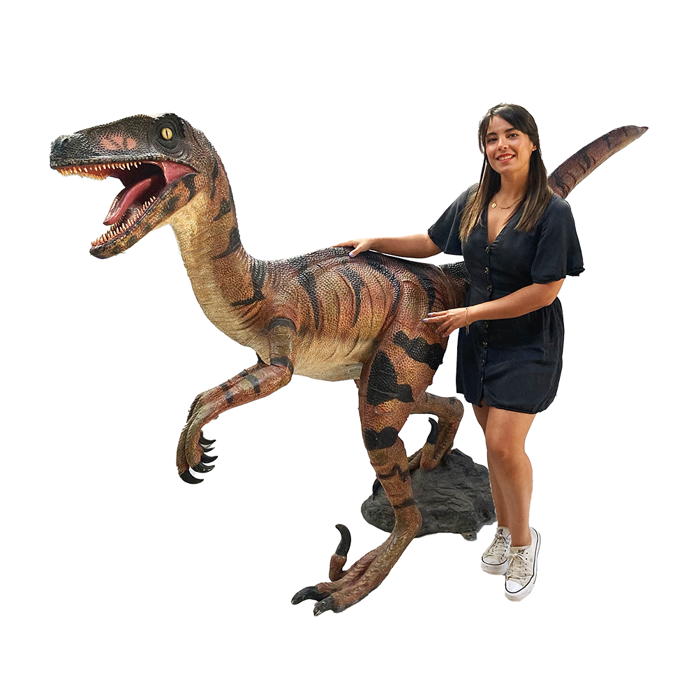 Decopack Dinosaure