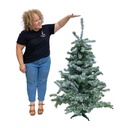 Sapin enneigé - 160 à 180cm