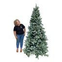 [locnoe159] Sapin enneigé - 240 à 250cm