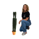 Cactus - 85cm