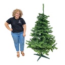 Sapin vert - 180cm