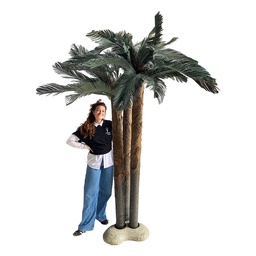 [locpla32] 3 palmiers sur île - 200 à 320cm
