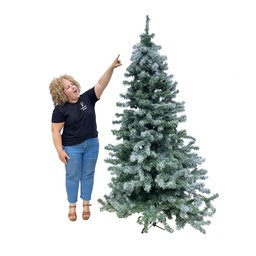 [locnoe229] Sapin enneigé - 200 à 220cm